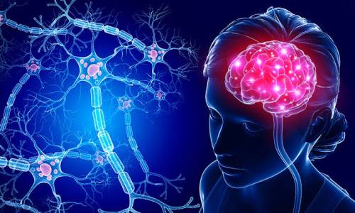 দৈনন্দিন জীবনের যেই সাতটি বদঅভ্যাস মস্তিষ্কের করে মারাত্মক ক্ষতি